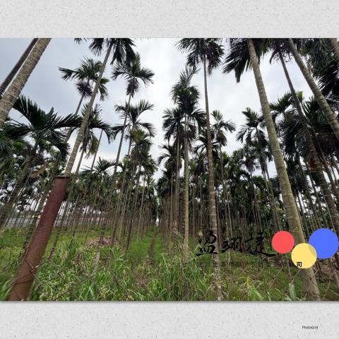 潮州農地-2