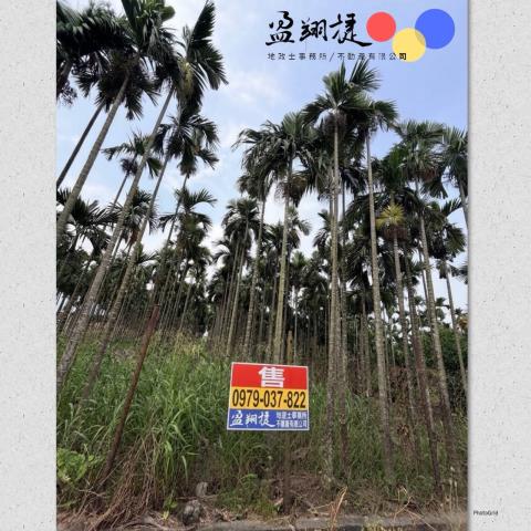潮州農地-3