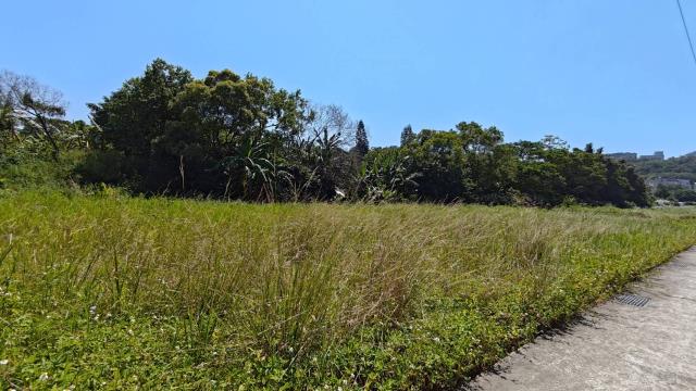 龍潭農地-8