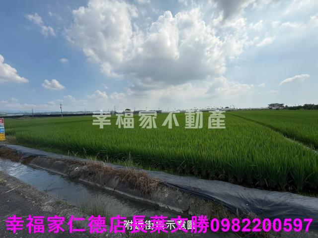 台南柳營農地-4