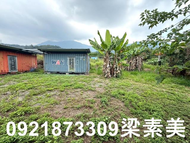 台南東山農地-3