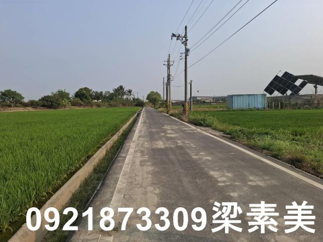 台南善化農地-6