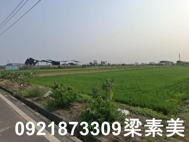 台南善化農地-7