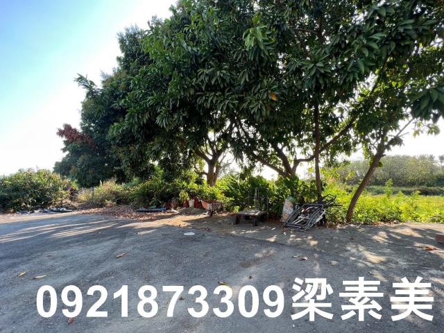 台南新市農地-3