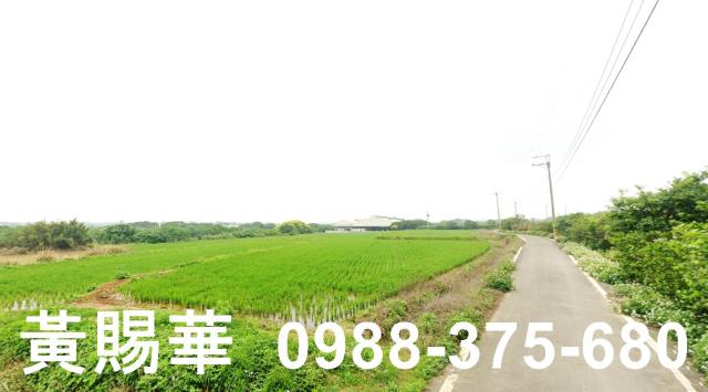 新豐農地-2