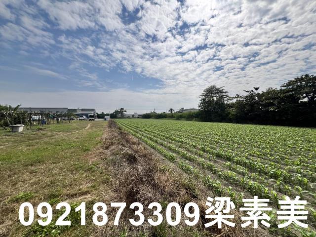 安南農地-3