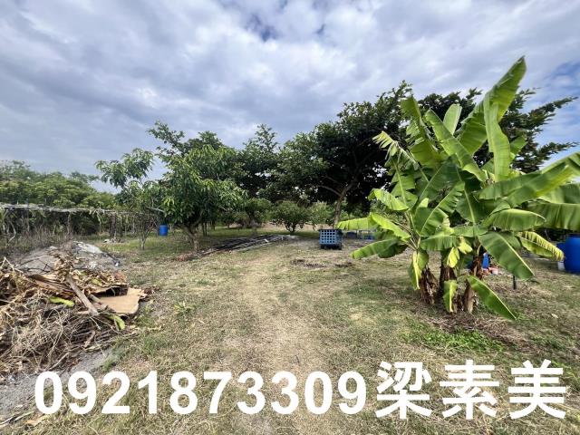 安南農地-5