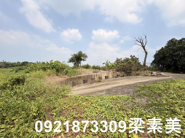 歸仁農地-7