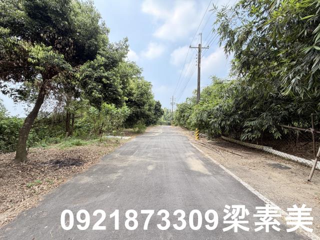 歸仁農地-9