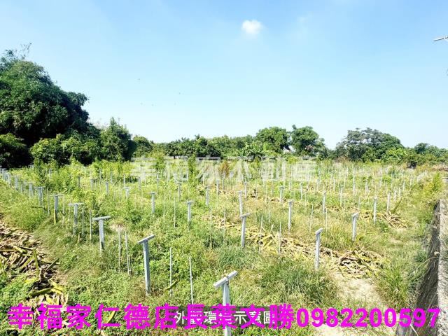 柳營農地-2