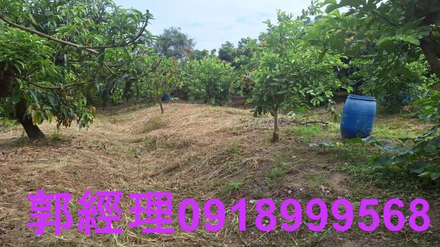 官田農地-1