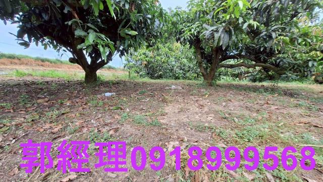 官田農地-4