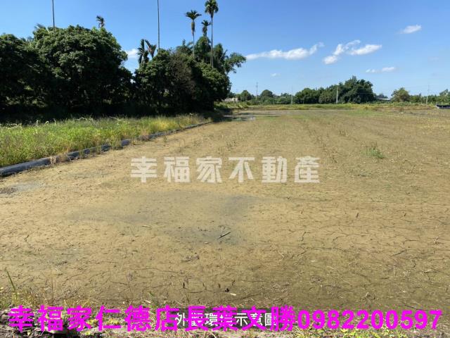 柳營農地-1