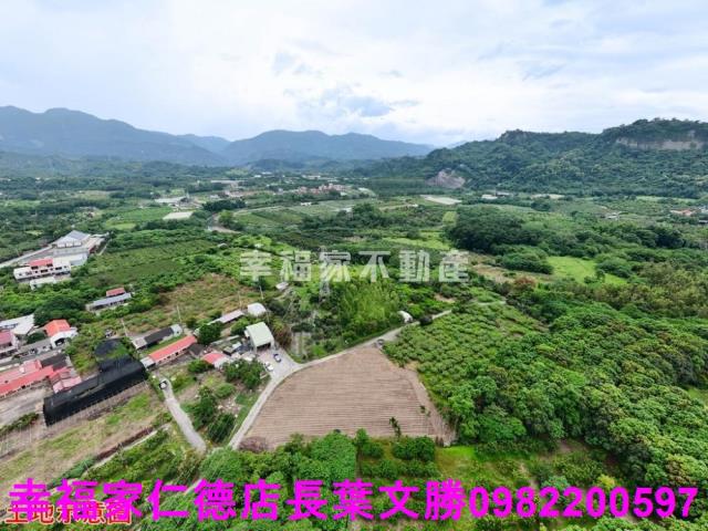 玉井農地-10