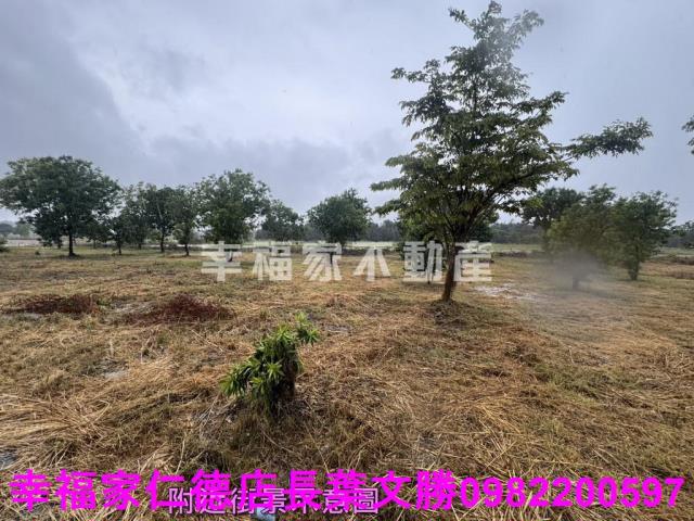 台南東山農地-5
