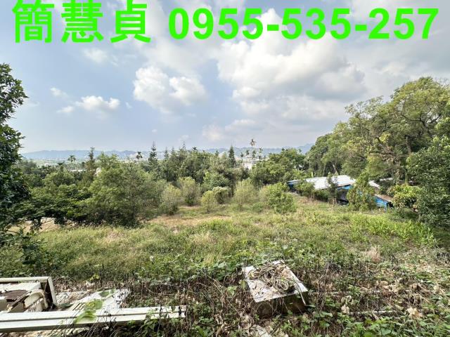 草屯農地-6