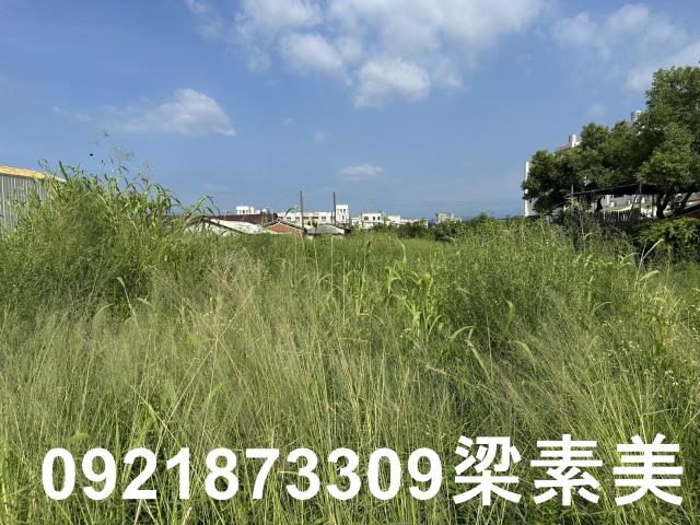 台南官田建地-1