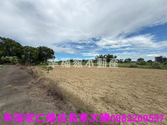 台南新市農地-11