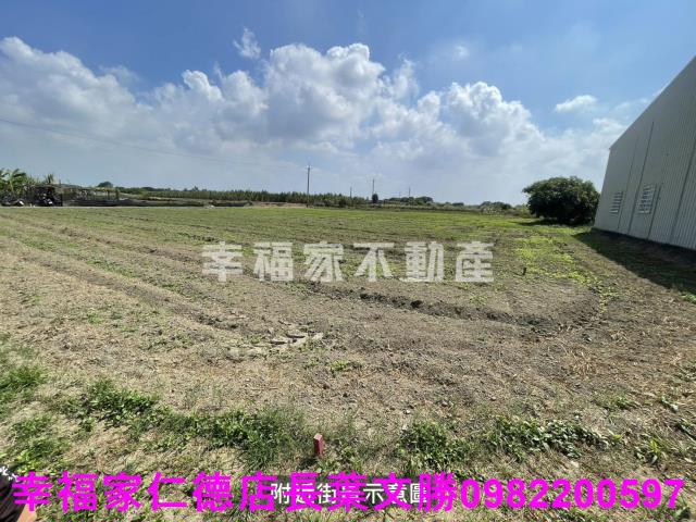 仁德農地-4