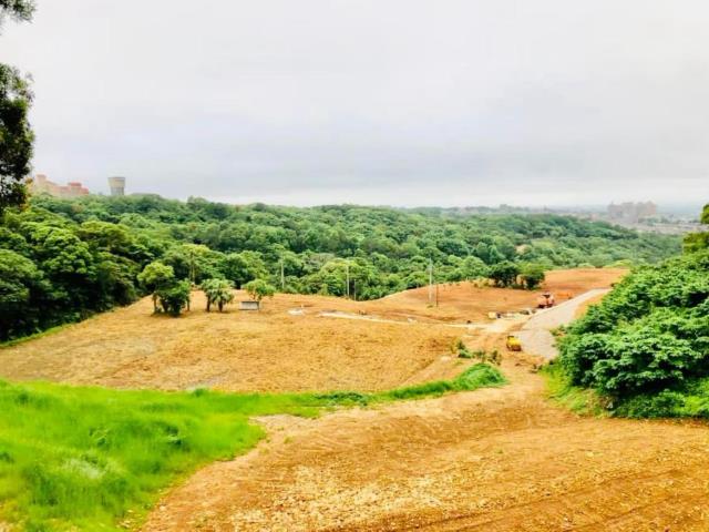 楊梅農地-1