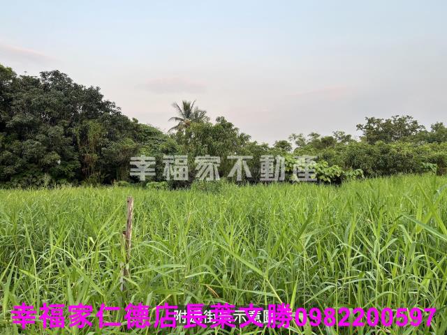 歸仁農地-2