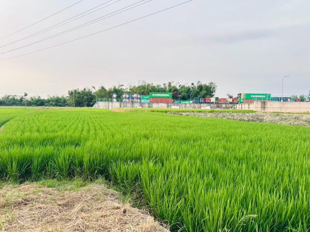嘉義民雄農地-5