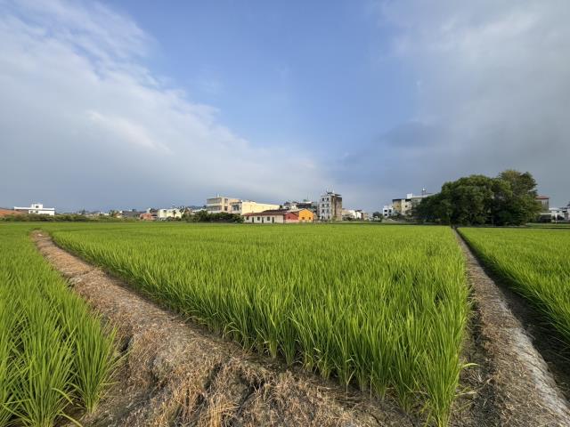 南投草屯農地-2