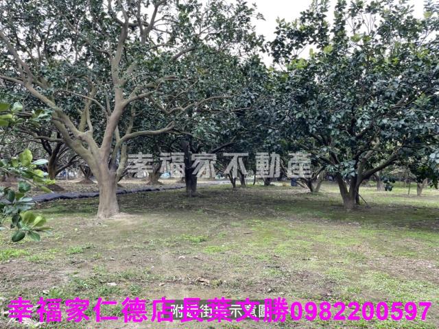 麻豆農地-4