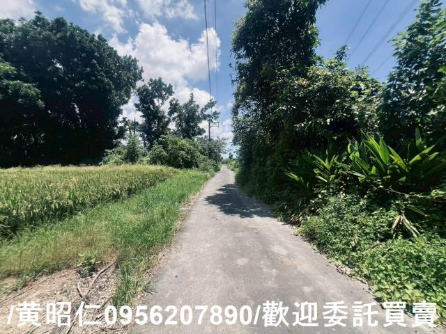 麻豆農地-6