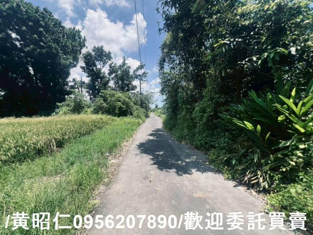 麻豆農地-7