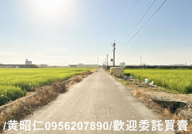 柳營農地-1