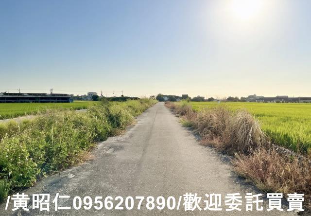 柳營農地-9