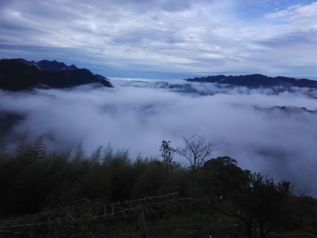 台中東勢農地-2