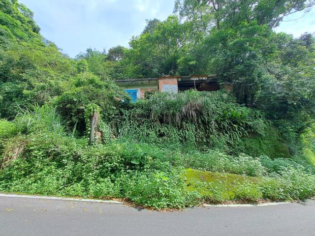 芎林林地-4