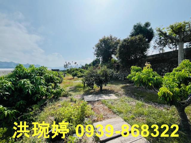 草屯農地-8