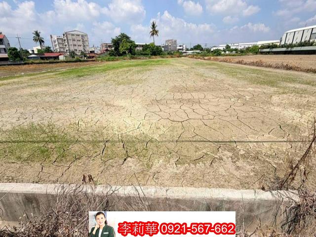 新市農地-3