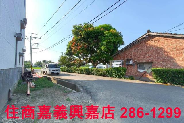 大林建地-11