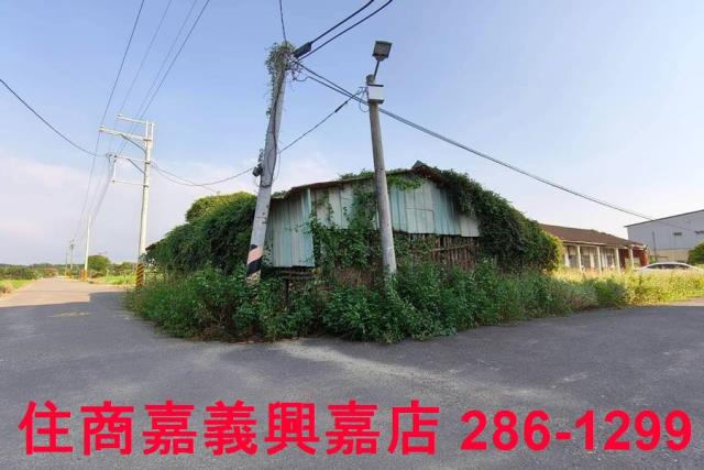 大林建地-8