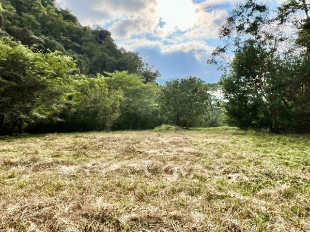 南投埔里農地-6