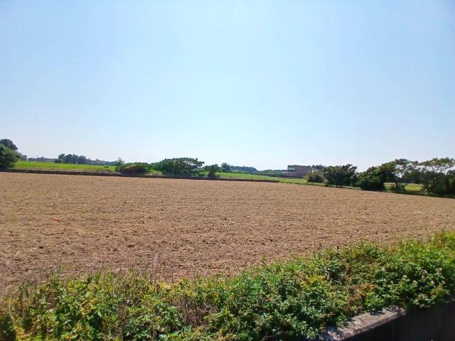 桃園觀音農地-3