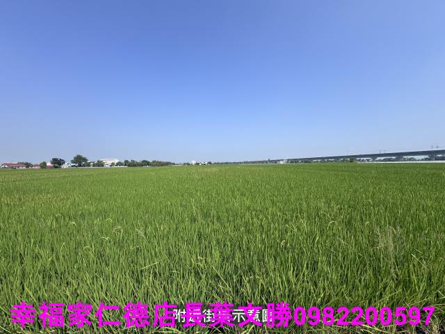 台南後壁農地-8