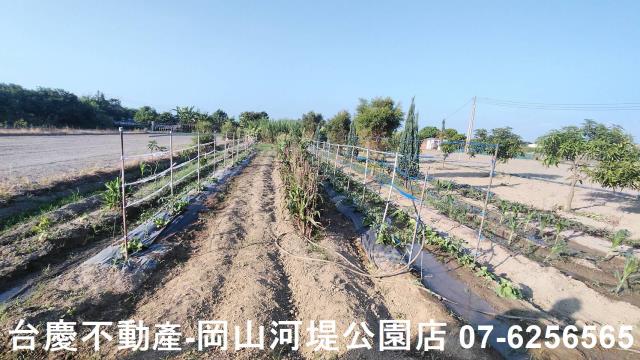 高雄梓官農地-1
