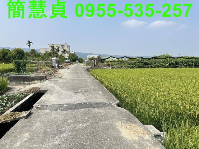 草屯農地-4