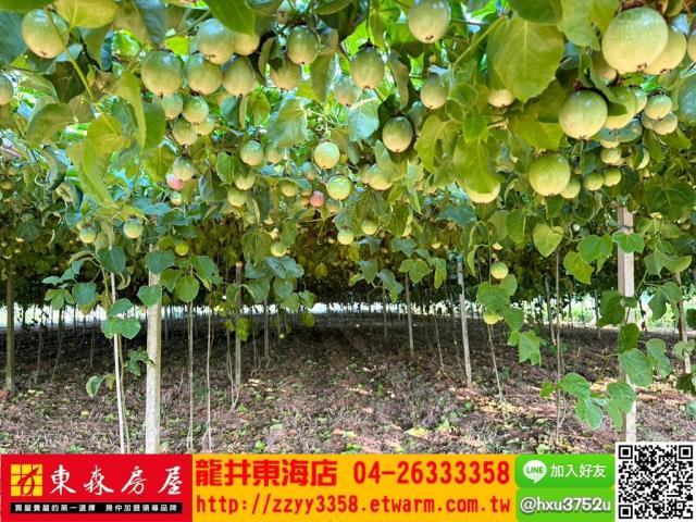 台中農地-3