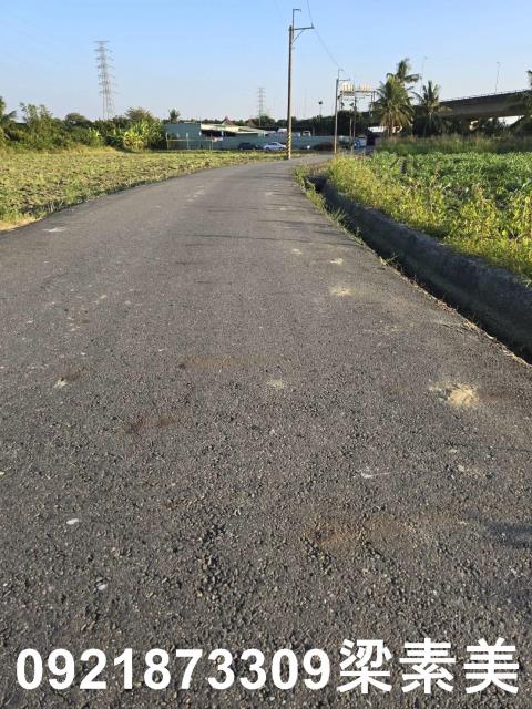 台南新市農地-10