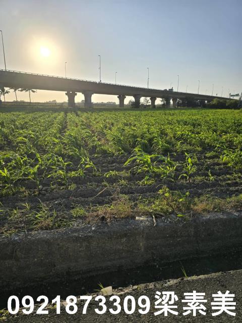 台南新市農地-7