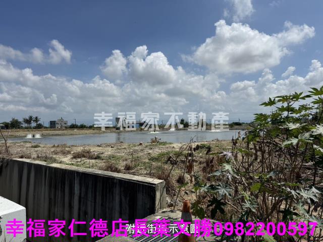 鹽水農地-2