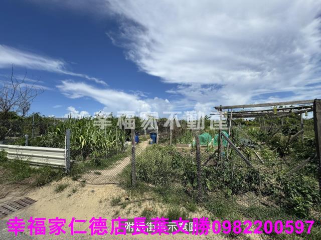 安南農地-12