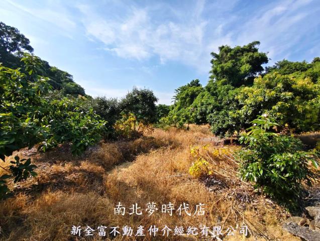 台南農地-5