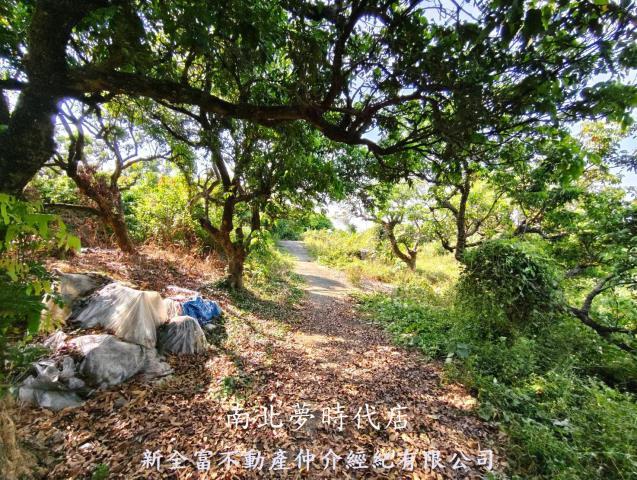 台南農地-13